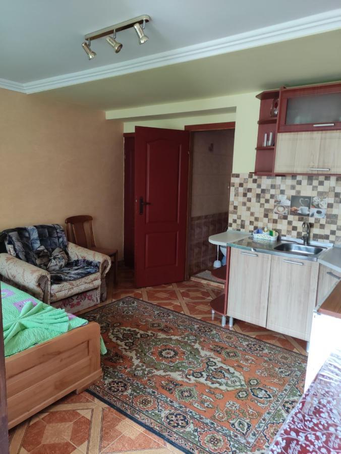 Квартира Студия С Отдельным Входом Truskavets Exterior foto